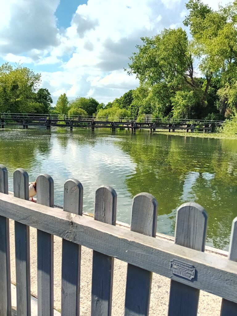 A relaxing river is a perfect place to sit talking
